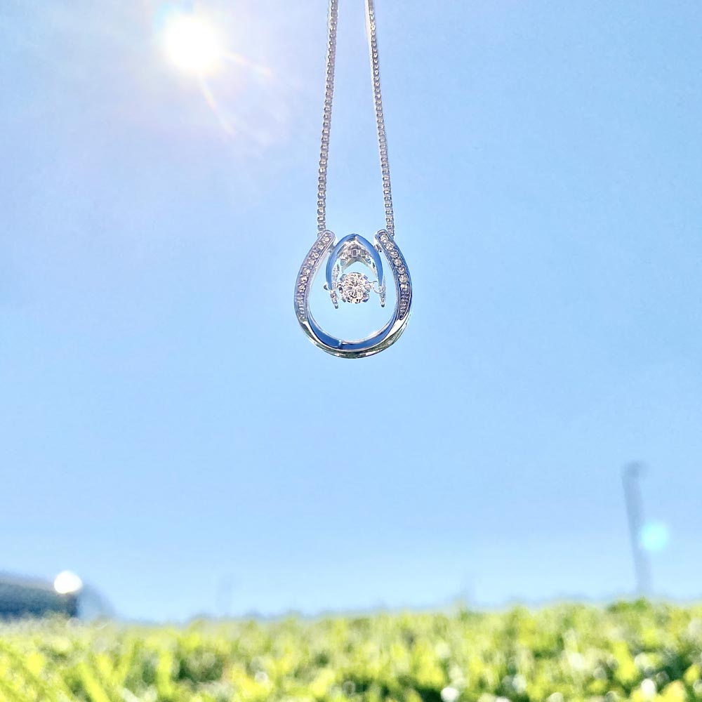 Lucky Shield Necklace